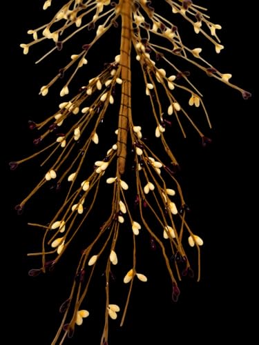 Evron-International-EV-C13-Primitive-Pip-Berry-Garland-in-Burgundy-and-Cream Evron International EV C13 Primitive Pip Berry Garland in Burgundy and Cream