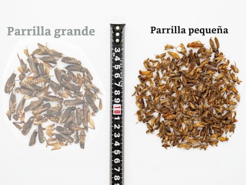 Miniatura 3 de Ugf - Grillos Pequeños Secos - 80 G En Un Cubo De 500 Ml, Insectos Grillos, Alimento Para Aves Silvestres Todo El Año , Alimento Para Tortugas, Erizos, Lagartos Y Peces.