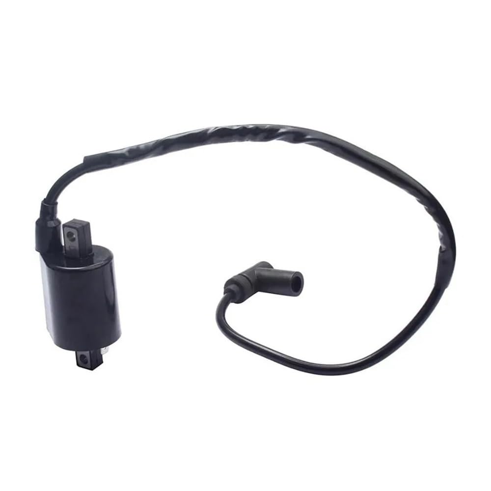 Bujías Bobina de Encendido Bujías para Carro de Gasolina G2 G5 G8 G9 G11 G14 1985 con 3 electrodos