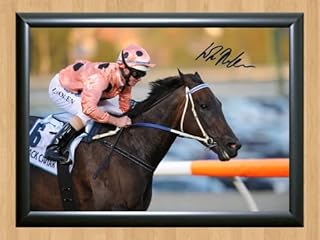Luke Nolen Black Caviar Jockey Horse Autographed Signed A4 Print Poster Photo A4 210x297mm