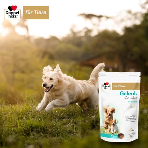Doppelherz Gelenk Complex für Hunde – Mit essentiellen Omega-3 Fettsäuren + Vitamin E – 60 Chews