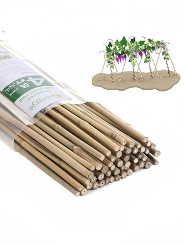 Plant Bamboo Post,4Feet,Bamboo Garden Stakes,65PcsBamboo Stakes,for Tomato,Beans,Vegetable and Flowers, Potted Plants,Indoor and Outdoor Climbing Plants