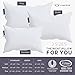Lincove Cloud Natural Canadian Down Pillow, White Luxury Sleeping Pillow - 625 Fill Power, 500 Thread Count Cotton Shell, Made in Canada, Queen - Firm, 1 Pack