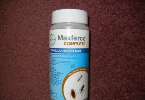 Conquer Pests: A Review of Bayer Maxforce Complete for Your Home