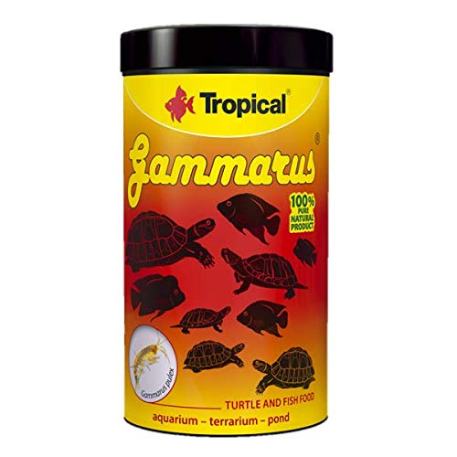 Tropical Gammarus Tin, 60g