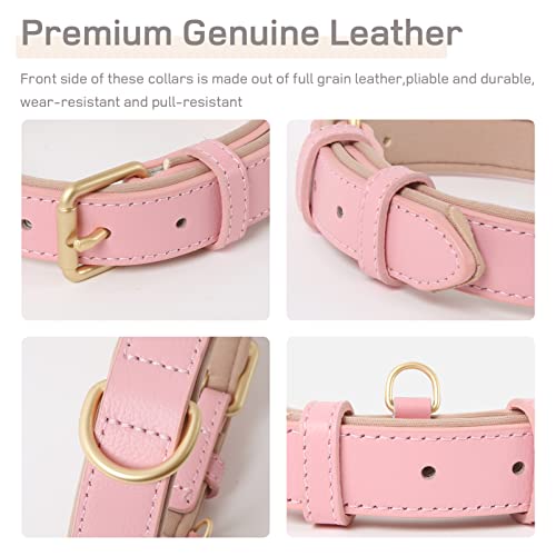 HugglePets Guinzaglio Per Cani In Pelle Legacy Britannico - Foto 8