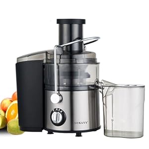800W Entsafter Gemüse und Obst, Quick Juicer mit optimierter Saftausbeute, Große 65 mm Einfüllöffnung, 2 Geschwindigkeitsstufen, Einfach zu Reinigen, Schwarz/Edelstahl