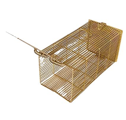 ZL Enterprises Rat Trap Cage Iron Gold Color Bars Design Heavy Quality (20.5 X 8.5 X 8 cm)-image-47