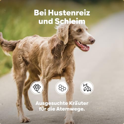 HGM Hund Schleimlöser mit Bronchialkräutern, unterstützt Atemwege & Bronchien, natürliches Pulver für Hunde zur Atemunterstützung & Schleimlösung, HGMflex 75 g