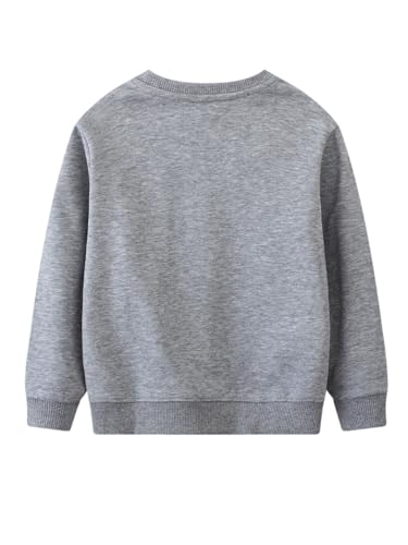 Boys Sweatshirts Casual Sweatshirts Cotton Sweatshirts Long Sleeve T-shirts Crew Neck Cartoon Tops for Boys-7292