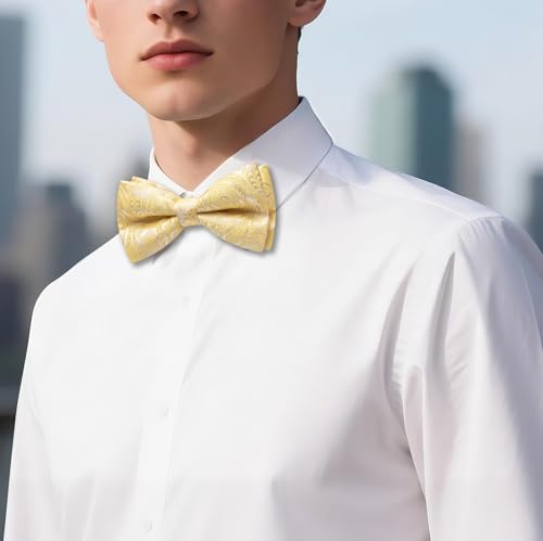 Image of YOHOWA Paisley Striped Men Bow Tie Pre-Tied Formal Adjustable Colorful Bowties Handkerchief Cufflinks Set Wedding Party