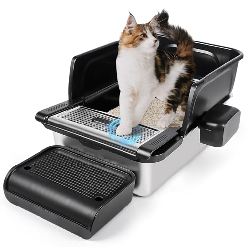 Bartuke XeX|̔LAS~܁ASȂALCȂAeՂȃN[jOtĂ卂ꂽ̂ݔ ()