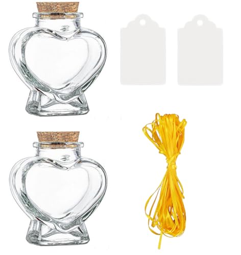 WENDIN Mini heart jars small heart shaped glass jars with cork lids candy jars favor gifts cans (2 pieces)