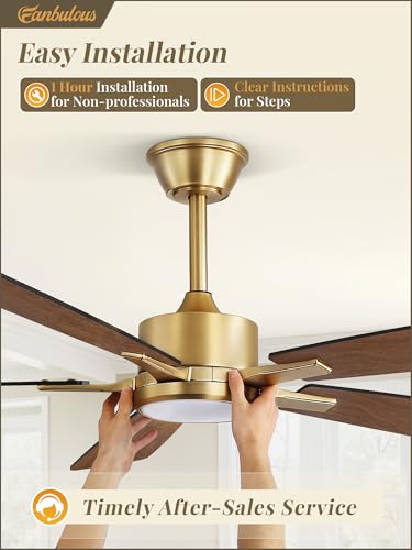 Image of Fanbulous 60 Inch Black and Gold Ceiling Fans with Lights and Remote, Stepless Color Temperature Change & Dimmable 20W LED Ceiling Fan, 6 Speeds Reversible Quiet DC Motor for Bedroom, Living Room