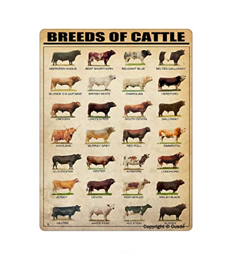 Breeds Of Cattle Metal Tin Sign Wall Plaque Poster For Restaurant Market Farm Ranch Bar Pub Beer Club Wall Home Decor 8x12 Inch