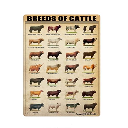 Breeds Of Cattle Metal Tin Sign Wall Plaque Poster For Restaurant Market Farm Ranch Bar Pub Beer Club Wall Home Decor 8x12 Inch