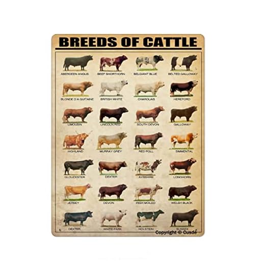 Breeds Of Cattle Metal Tin Sign Wall Plaque Poster For Restaurant Market Farm Ranch Bar Pub Beer Club Wall Home Decor 8x12 Inch