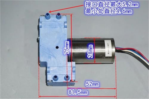 Bomba de vacío de diafragma sin escobillas de 12 V, doble bomba, 1 unidad miniatura 2