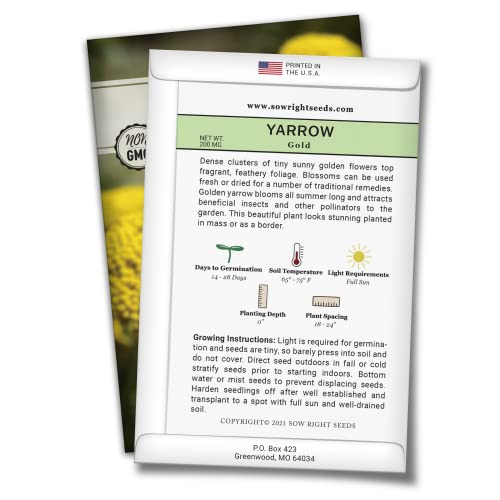 Sow Right Seeds - Achillea Yarrow Gold Flower Seeds For Planting - Beautiful Flowers To Plant In Your Home Garden - Non-Gmo Heirloom Seeds - A Favorite Perennial To Attract Pollinators - Great Gift #TOP1