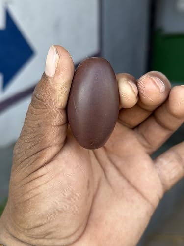 Image of Shivam VASTU AKAL 1.5 inch Original Narmadeshwar Narmada Shivling with 3 inch Narmada Stone Yoni Base Jaladhari (Swayambhu Shivling, Brown Damru Jaladhari)