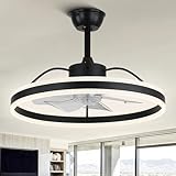 Dawn Whisper Black Ceiling Fans with Lights,Low Profile Ceiling Fan with Light,24' LED Modern Ceiling Fans with Lights for Kitchen Bedroom