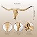 Halloween Skeleton Bison Bull Skull Wall Decor Cow Skull Wall Decor Head Longhorn Sculptures Wall Plaque Art Crafts Ornaments Bull Horns Decor Environmental Friendly and Resin Skull Sculpture Wall