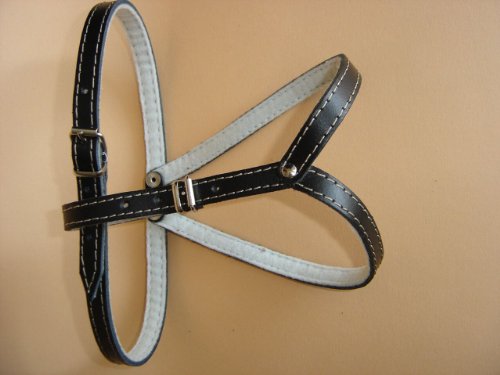 Hunde Geschirr, Brustkorb 38-45 cm, Echt Leder + SCHWARZ NEU (Made in Poland 20.3.200)
