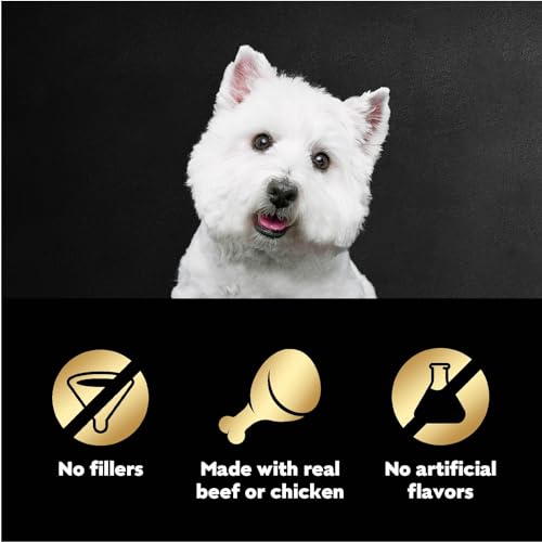 Image of Cesar Filets in Gravy Wet Dog Food Filet Mignon Flavor and Rotisserie Chicken Flavor Variety Pack,Wet Food for Dogs,1.76 oz. Mini-Pouches,20 Count (Pack of 4)