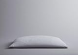 Memory Foam Core Pillows Soft Bed Low-Profile Lightly Fill Thin Slim Flat Pillows | Anti-Allergy, Breathable, Reversible (2 Pillows)