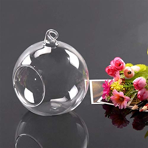 Ausuky Vase en verre à suspendre en forme de boule pour plantes, récipient pour terrarium, décoration de la maison (M)