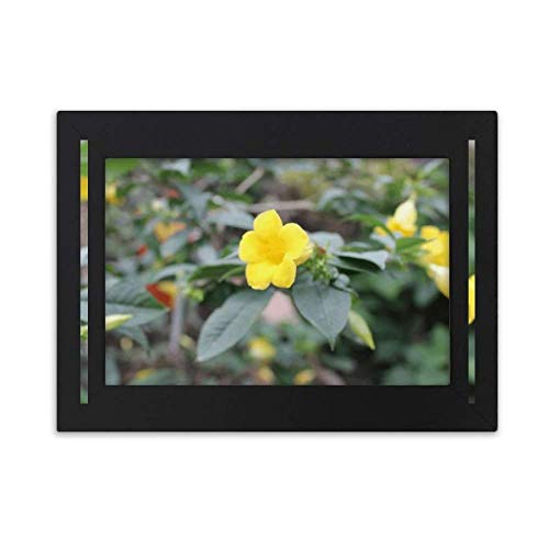 F fXNgbvtHgt[摜ubŃA|pG7 x 9C`