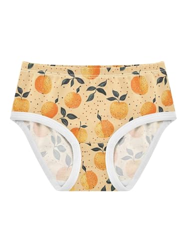 ZZKKO Orange and Polka Dots Girls Underwear Toddler Panties for Girls Comfort Brief Size 2-8T