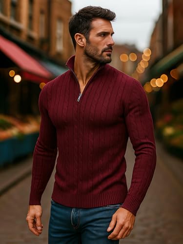 Image of TYSORT Men High Neck Zipper Full Sleeve Cable Knitted Winter Sweater,Cable Knit Sweater for Men