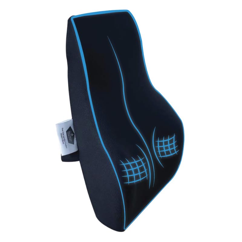 Back Support for Chair & Car Seat, Orthopedic Lumbar Support Memory Foam Backrest Cushion - Designed for Back Pain Relief - Back Pillow for Comfortable Sitting (Mesh Black)