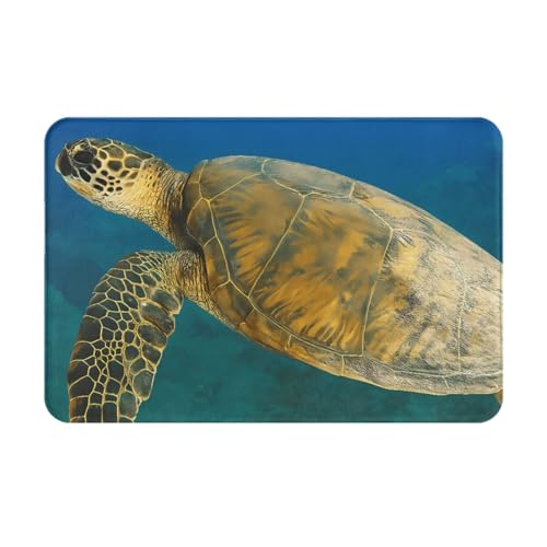 T2 􂦂銊~ߕtO~ ᔽ􂦂TCYO 40x60cm