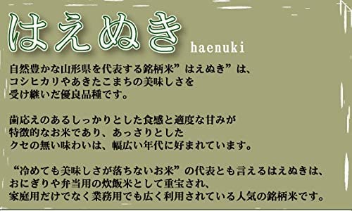 Amazon.co.jp: 令和7年産白米 山形県産 はえぬき 20kg (5kg×4袋