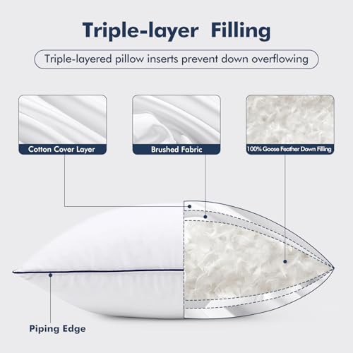 Image of MIULEE Goose Feather Down 24x24 Pillow Insert Set of 2 with 100% Down-Proof Cotton Cover, Soft Fluffy Decorative Pillow for Sofa Bed Couch Living Room White