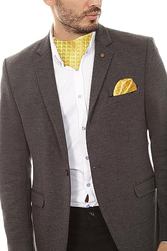 Image of DiBanGu Mens Silk Ascot Ties Paisley Jacquard Woven Cravat and Pocket Square Cufflinks with Lapel Pin for Business Wedding