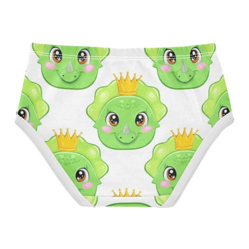 Flower Girls Underwear Toddler 2t Cotton Panties for Girl Cute Cartoon Dinosaurs Eyes Briefs Kids Undies2
