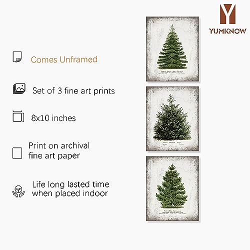 Yumknow Rustic Vintage Farmhouse Holiday Wall Decor - Christmas Tree Wall Art Gallery Wall thumb #1