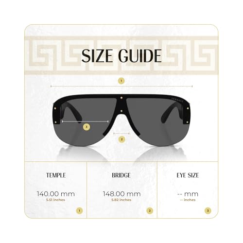 Versace VE4391 Shield Sunglasses for Men +BUNDLE with ACCESSORY EYEWEAR KIT4