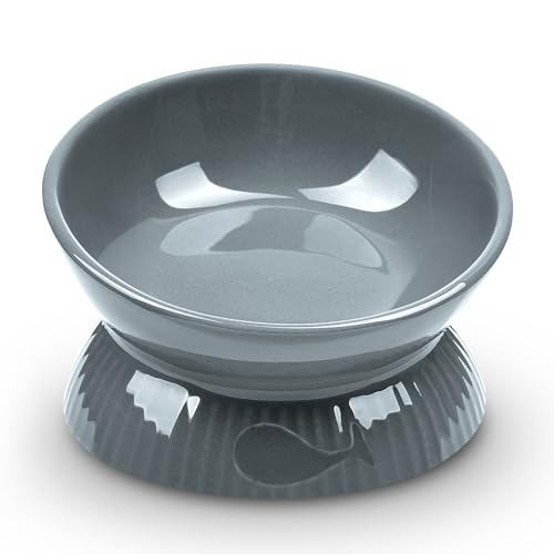 Kopmath Elevated Cat Bowl, Ceramic Tilted Cat Food Bowl, Anti Vomiting, Stress Free on Neck and Spine, Spill-Proof, Anti-Tipping, Dishwasher Safe, Raised Cat Bowls for Indoor Cats, Dry/Wet Food, Grey
