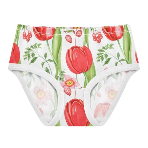 Girls Underwear Toddlers 2t Cotton Cute Panties Girl Pattern Kids Undies Briefs Watercolor Red Tulips White