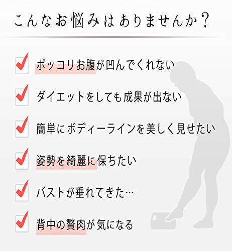 コルセット ダイエット ウエストニッパー お腹 痩せ くびれ 女性用 くびれ 刺繍入り スチールボーン 補正下着