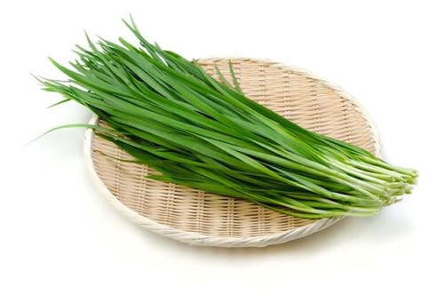 Garlic Chives 70+ Seeds Culinary HERB Vegetable Garden Easy Pot Grow Companion