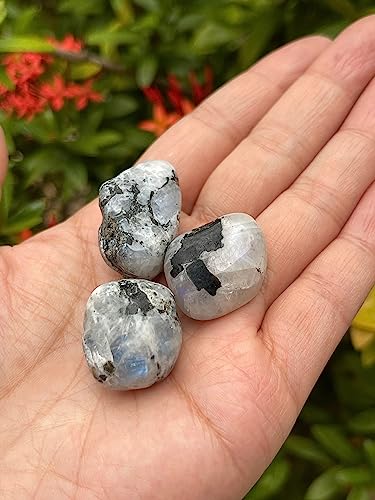 Image of GAF TREASURES 1 /2 LB Rainbow Moonstone Tumbled Stones, Polished Rainbow Moonstone Gemstone, Rainbow Moonstone Healing Crystals (Rainbow Moonstone)