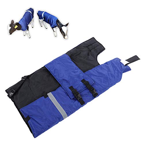 EVTSCAN 39 x 35 C` hJ[tuPbgA~ɂӂ͂gۂ܂A˃XgbvƃNCbN[XobNtAӂ͂RrnR[gWPbgphIbNXtH[hz