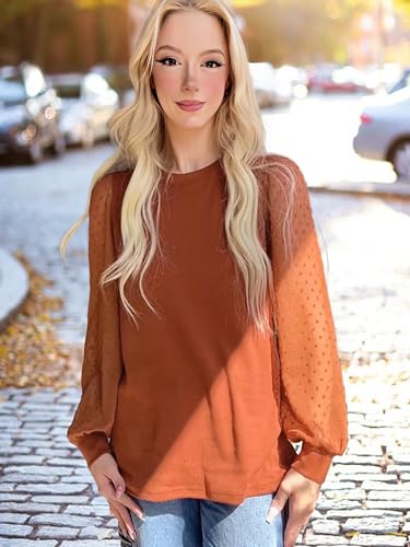Wiholl Clothes For Women 2024 Fall Thanksgiving Outfits Fashion Tunic Tops Sheer Long Sleeve Caramel M thumb #1