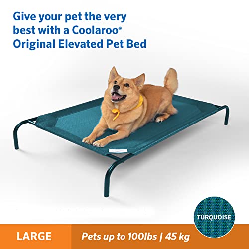 Image of Coolaroo Original Elevated Dog Bed - Breathable Off-The-Ground Pet Bed with Cooling Fabric, Joint Relief & Moisture-Resistant Fabric, 100% Recyclable, Easy Clean, Turquoise, Large