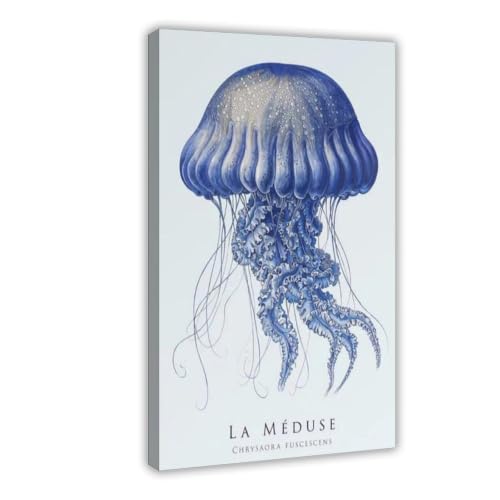 Poster méduse naturelle en toile 20x30 cm pour décoration de bureau